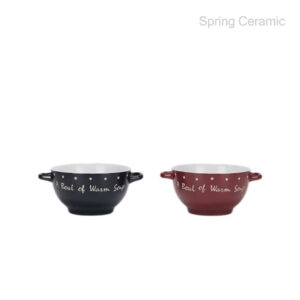 650ml double ear bowl ,with the words "A bowl of warm soup"