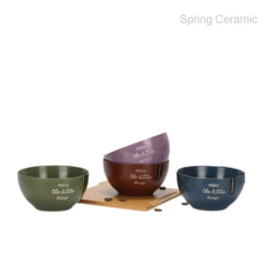 650ml bowl,silk design bowl,with the word "enjoy the eittee things"