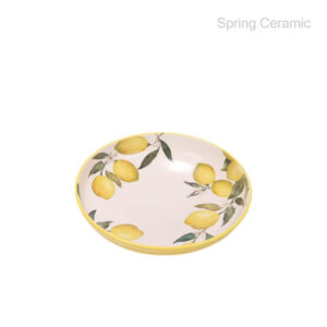 Ceramic 35oz Dinner Bowls