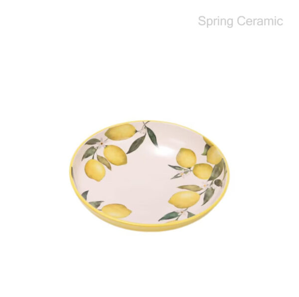 Ceramic 35oz Dinner Bowls