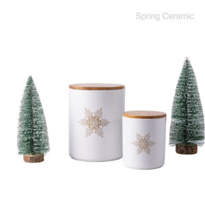 Christmas design storage Can with baboom lid